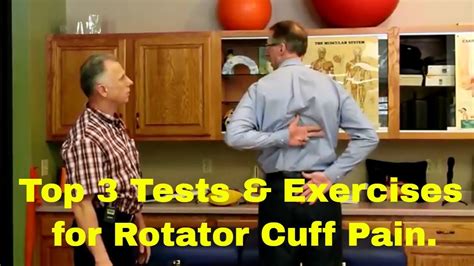 Rotator Cuff Muscles Test 的图像结果