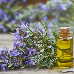 Keeo Intimate Wash for Men with Tea Tree Oil, Lavender Oil & Aloe Vera ...