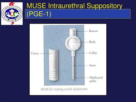 Using Muse Suppository 的图像结果