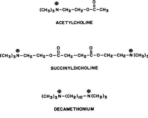 Image result for Methacholine Buffered Solution