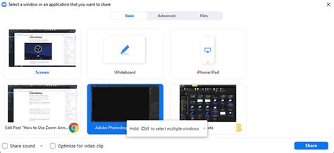 Rezultat imagine pentru Using Zoom Annotations