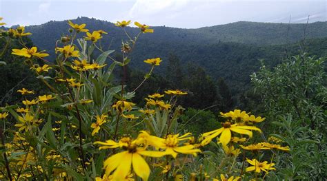 KIROLE INTERNATIONAL HOTEL (Bishoftu) - B&B Reviews & Photos - Tripadvisor