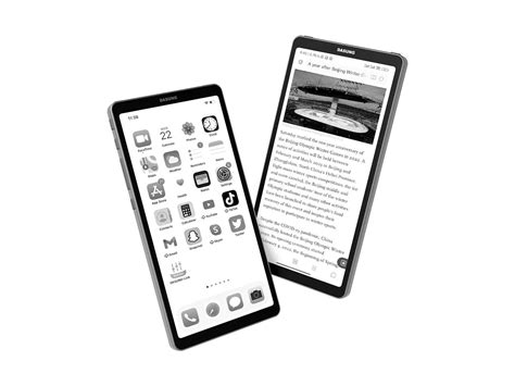 DASUNG E-ink Phone Monitor: Link – Chinar Cart