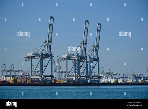 Image result for Rotterdam Container Terminal