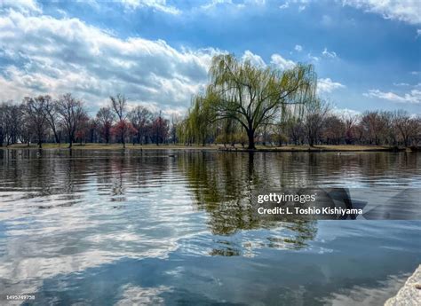 Washington DC Landmarks 的图像结果