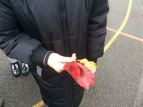 Classification Science P6 的图像结果