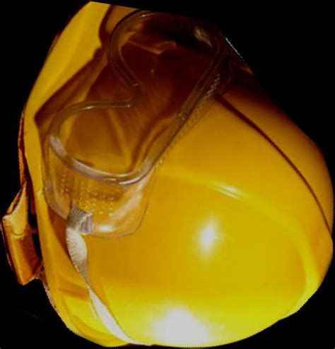 Implement a Frcnn Algorithm for Object Detection 的图像结果