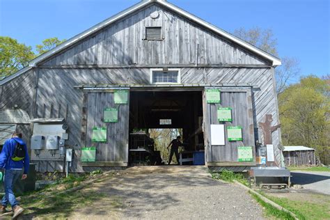 Spring At Natick Community Organic Farm | Natick, MA Patch