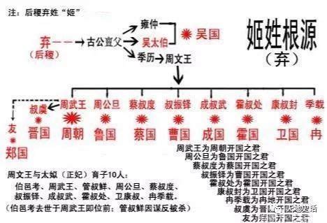 中国各姓氏血统图 — 给面小站