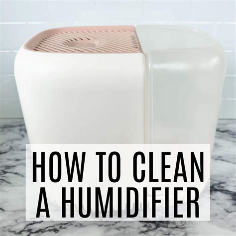 Image result for How to Clean Humidifier