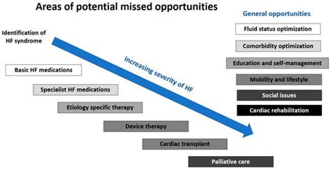 A Critical Evaluation of Patient Pathways and Missed Opportunities in ...