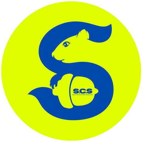 Image result for Squirrel Control