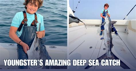 Image result for PMD Fly Pattern