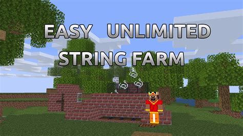 Image result for String Farm