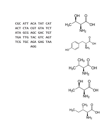 Image result for Chemonasty Example