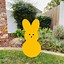 Image result for Photos of Easter Bunny