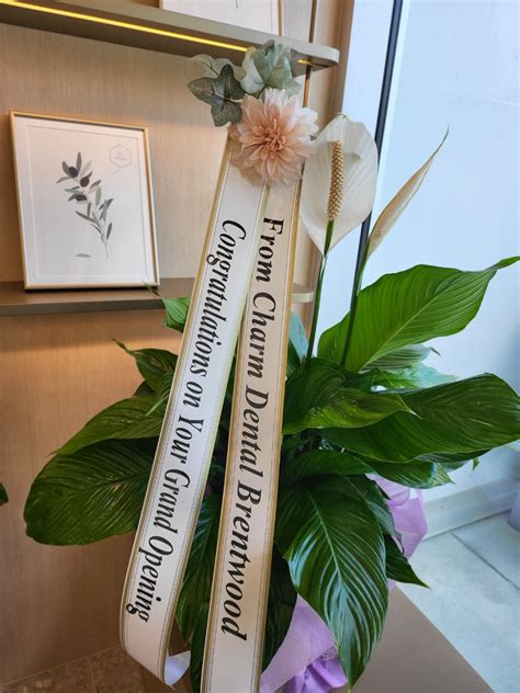 Grand Opening Peace Lily – Fiore Republic