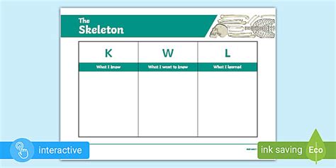 The Skeleton KWL Chart