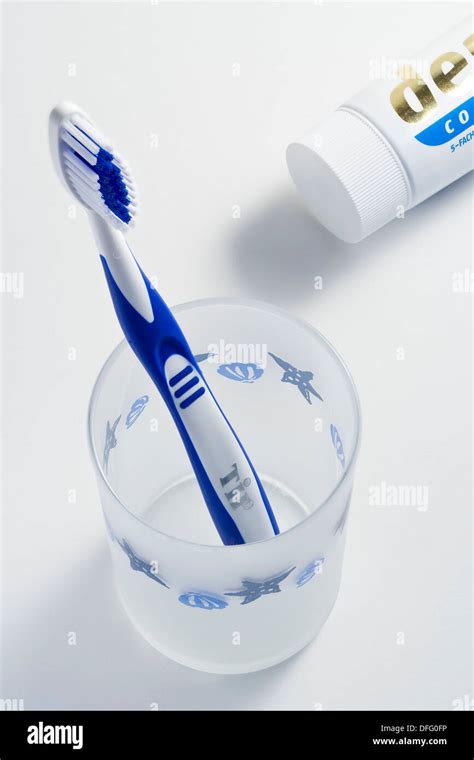 Toothbrush and Toothpaste 的图像结果