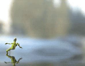 Image result for Lizard HTML Report Example