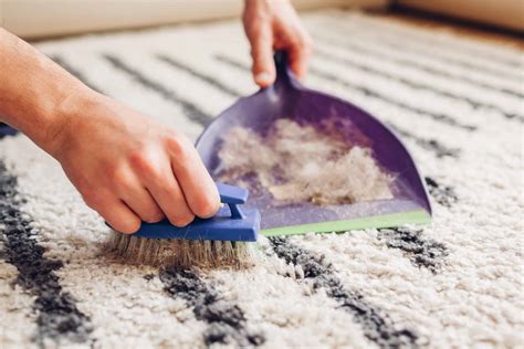 How To Clean Carpet Without Vacuum: Key Tip And Tools - Anita's ...