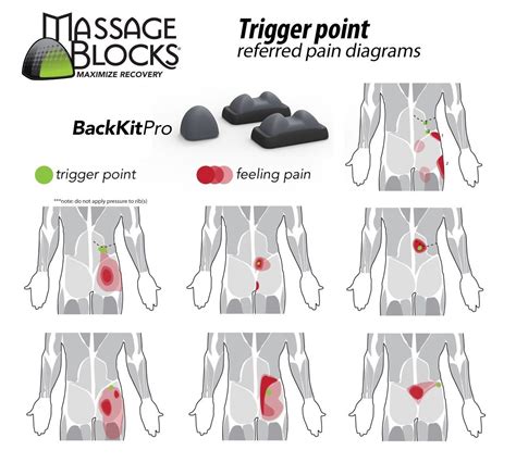 Massage Blocks - Back Kit Pro - Trigger Point Relief from Low Back strains and spasms | Trigger ...