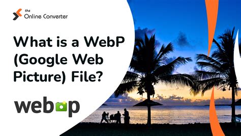 Image result for Google Apps WebP Types