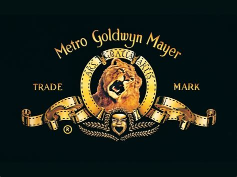 MGM Rewards | Loyalty Program | Earn Points Vector Art Vector Recipe Wallpaper Vector
