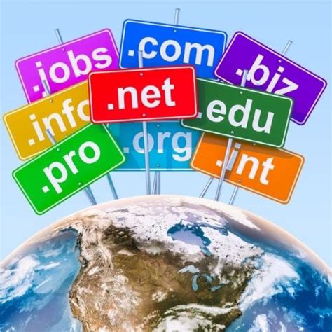 Domain Name Management & Domain Portfolio Audit in India