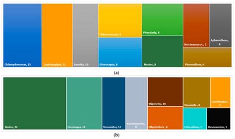 Diversity of Cyanobacteria and Algae in Biological Soil Crusts of the ...
