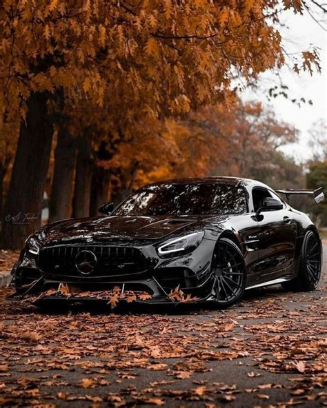 Download “Sleek Black Mercedes AMG GTR Showcasing its Majestic Power Amidst the Natural ...
