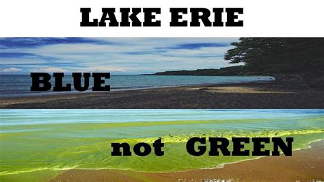 Lake Erie Holiday Dinner Gathering, Macomber Lodge Pearson Park, Oregon ...