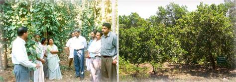 Outreach Activities | College of Agriculture, Vellanikkara