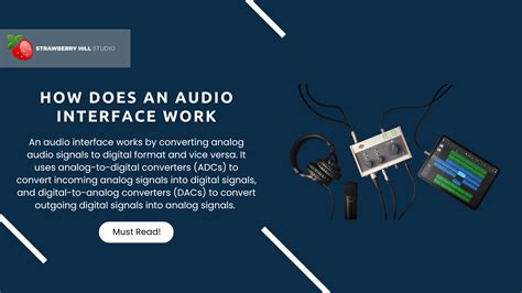 Image result for Audio Interface Playback