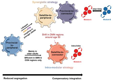 Image result for Compensatory Damage Model