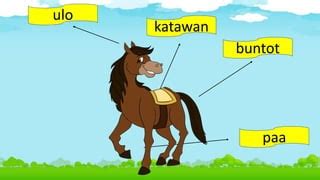 Image result for Rust Programming Language Examples
