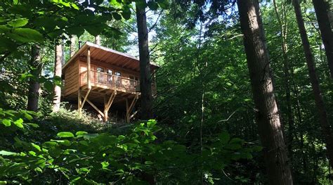 REDWOOD VALLEY WOODLAND CABIN AND YURT GLAMPING (Presteigne ...