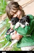Image result for Border Collie Puppy and Bunny