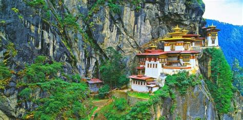Image result for Bhutan Python Coders