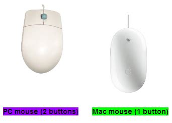 Using a Computer Mouse Buttons 的图像结果