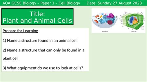 Cell Structure GCSE 的图像结果