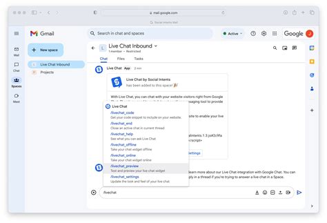 Image result for Google Chats URL