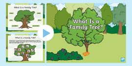 What is a Family Tree? PowerPoint | Teaching Resource