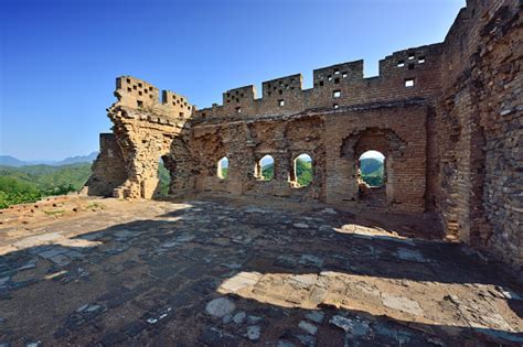 Image result for Vector SVG Format File Sample