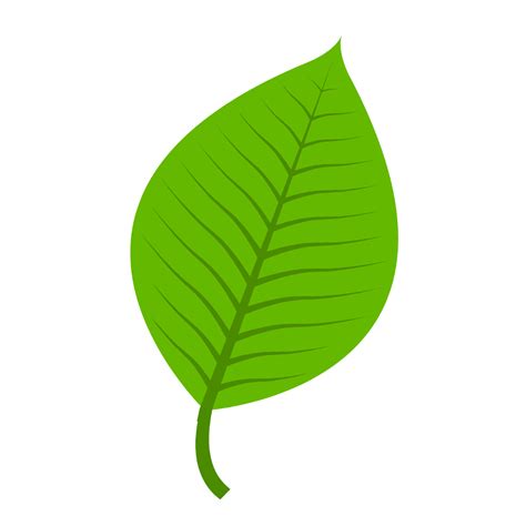 Free Leaf Clipart PNG to Customize and Download