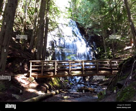 Ramona Falls Hike at Mt Hood Wilderness in Oregon Stock Photo - Alamy