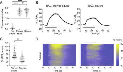 Differential processing of a chemosensory cue across life stages sharing the same valence state ...
