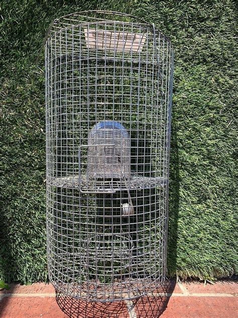 Image result for Rat-catcher Methods