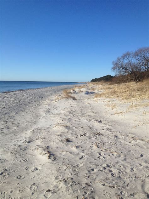 Spring Beach Vacation 的图像结果