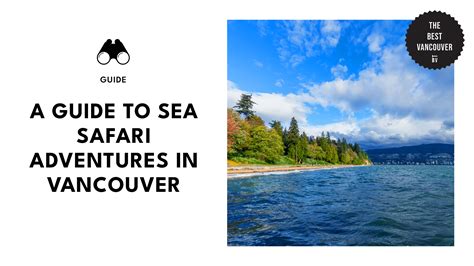 Best Internet Providers in Vancouver [2026 ]